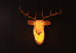 Hunting Trophy Door Light