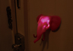 Animal Door Light