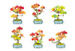 PLAY PLANTS BONSAI PUZZLE